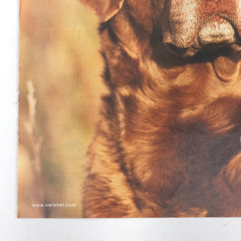 CREEK Chewing Tobacco Advertising Print Ad Dog Humor Collector Decor Poster - Picture 4 of 6
